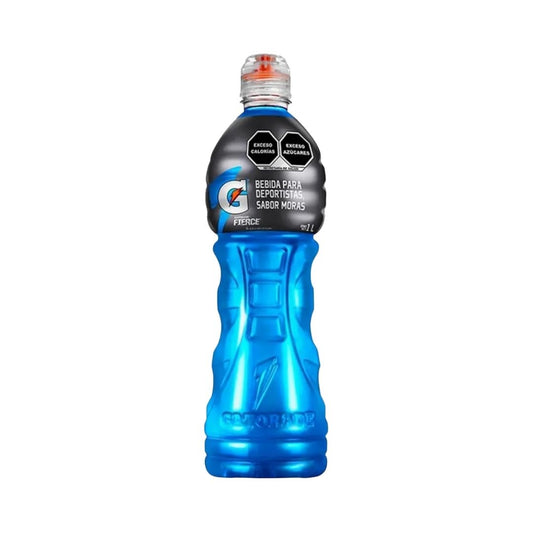 BEB. GATORADE MORA AZUL 6/1L
